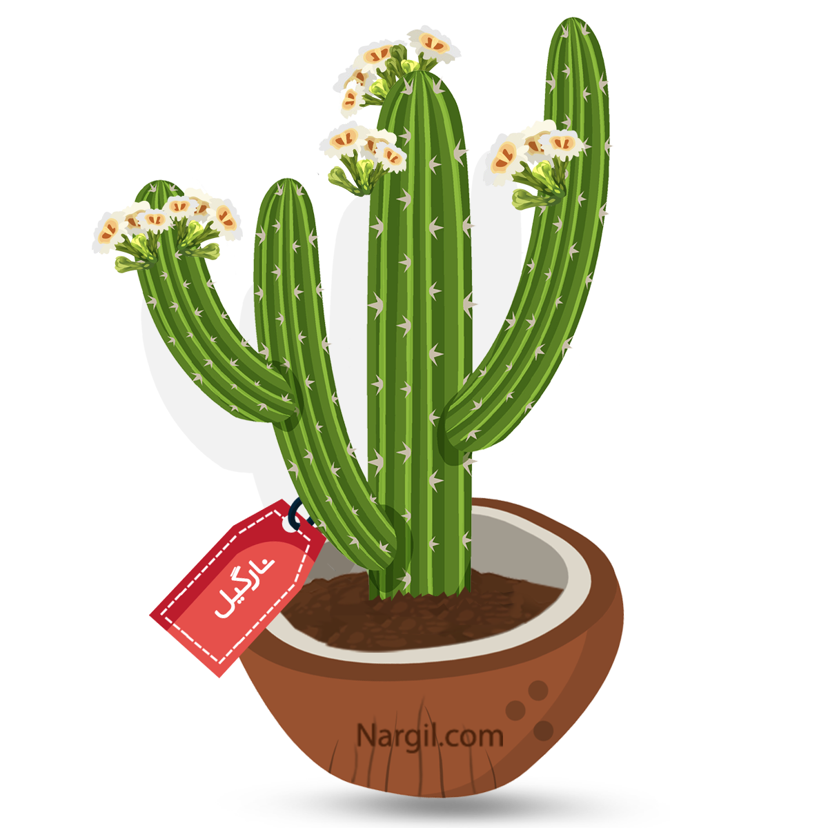  Nargil - Saguaro Cactus